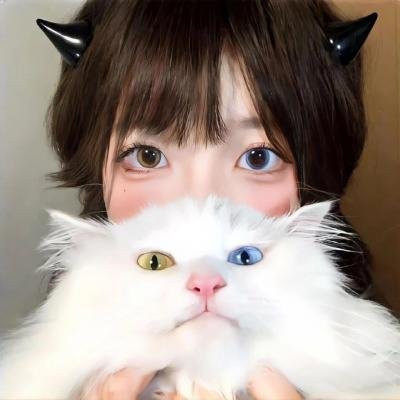 公道之情义无价