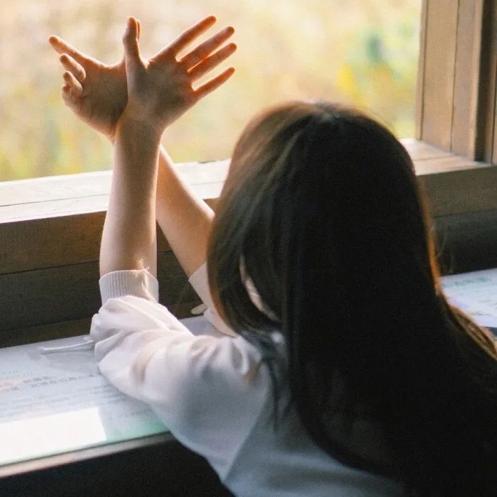 哥斯拉2：怪兽之王