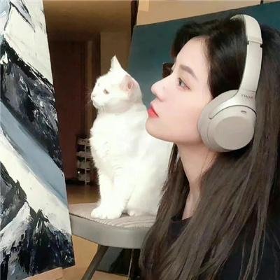 问厨哪来清如许短剧