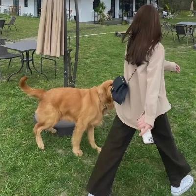 曼谷名妓