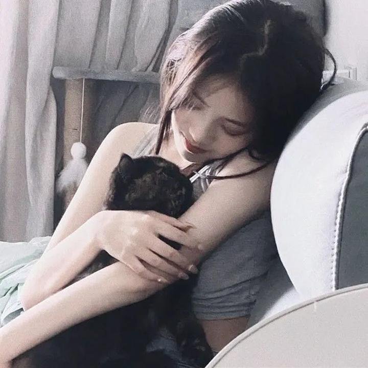 亚尔斯兰战记 风尘乱舞